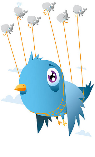 Twitter Backup Failure Sent the Site Crashing