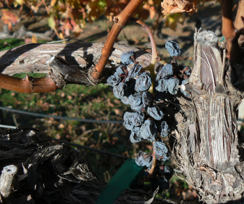 7 Reasons & 1 Sign Twitter Lists Are Dying On The Vine