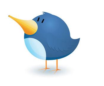 Twitter Growing By 300,000 New Users A Day