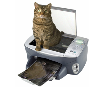Startup Lessons Learned: The Pitfalls of Copycat Marketing