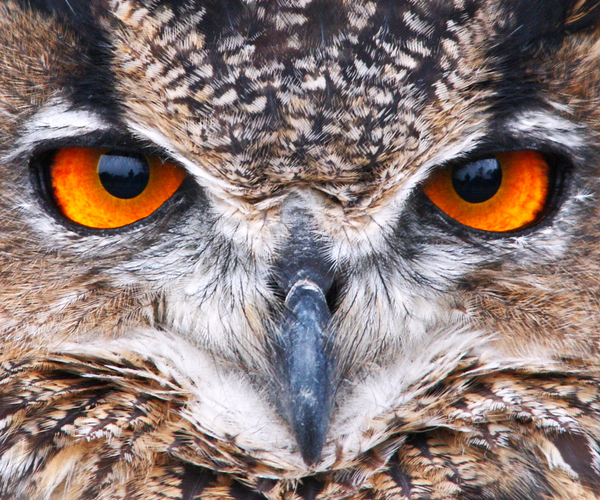 HootSuite for iPad is here!