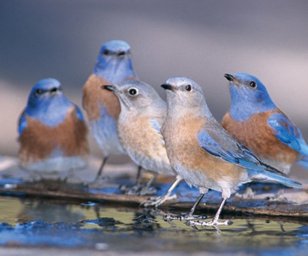 Twitter May Be Seeking A New Investment Round Upwards of $200 Million