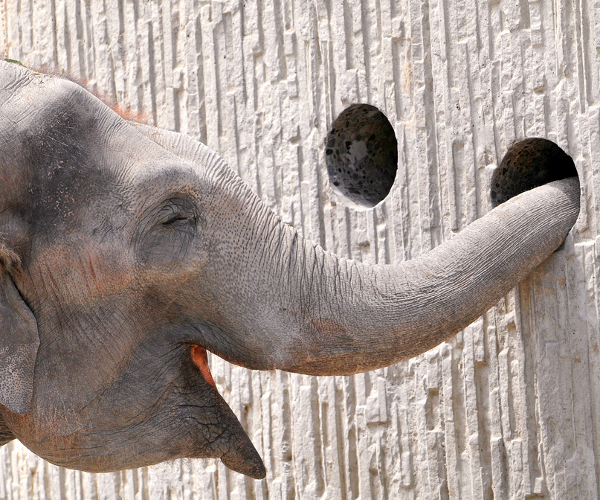 Take note, Evernote gets a slick Android update