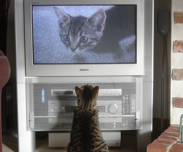 SeeSaw and Brainient bring “Choose your own ads” to UK online video