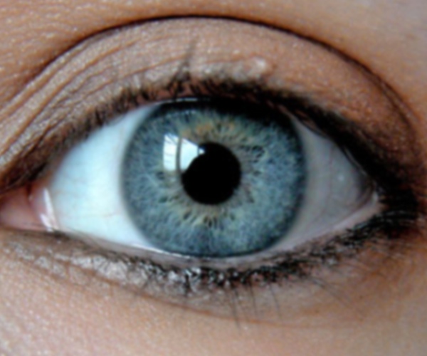 Hacker changes the way people with colour blindness see the world
