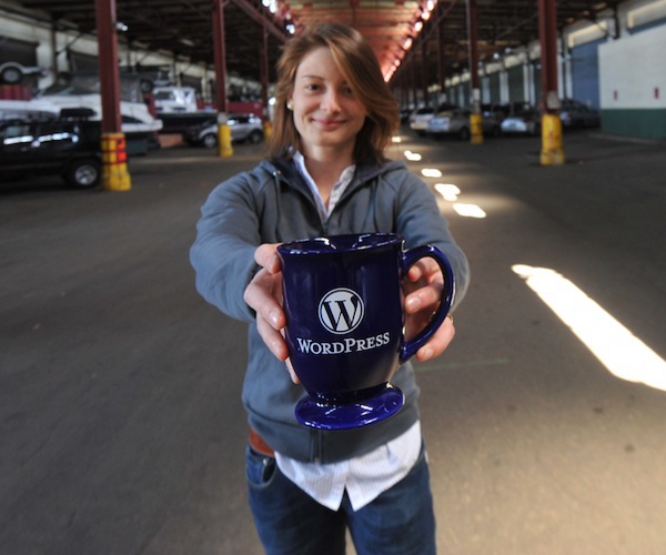 Like WordPress? You can now buy some official WP swag online