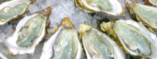 Love oysters? Check out Oysterpedia, an “app-hrodisiac”