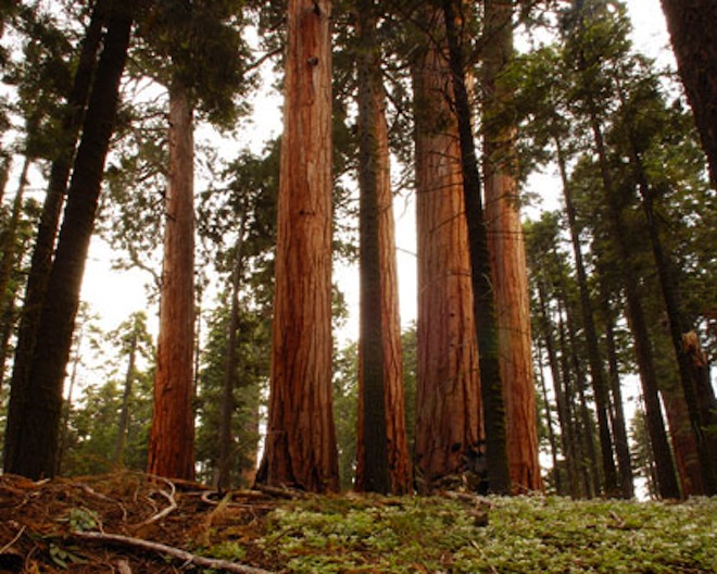 Sequoia Capital adds $1.3 billion to its funding coffers