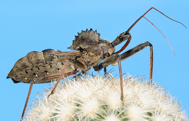 Volunteer earns $20,000 in a year spotting Google bugs