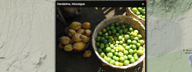 Tripline releases a new app for social media savvy travelers