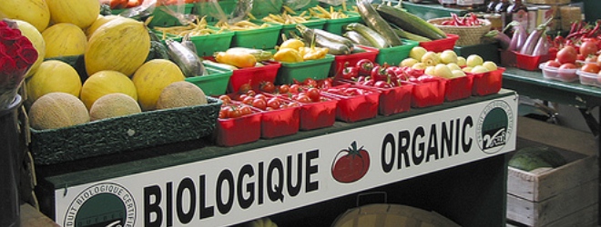 Simply Organic HD: A beautiful iPad app for organic foodies