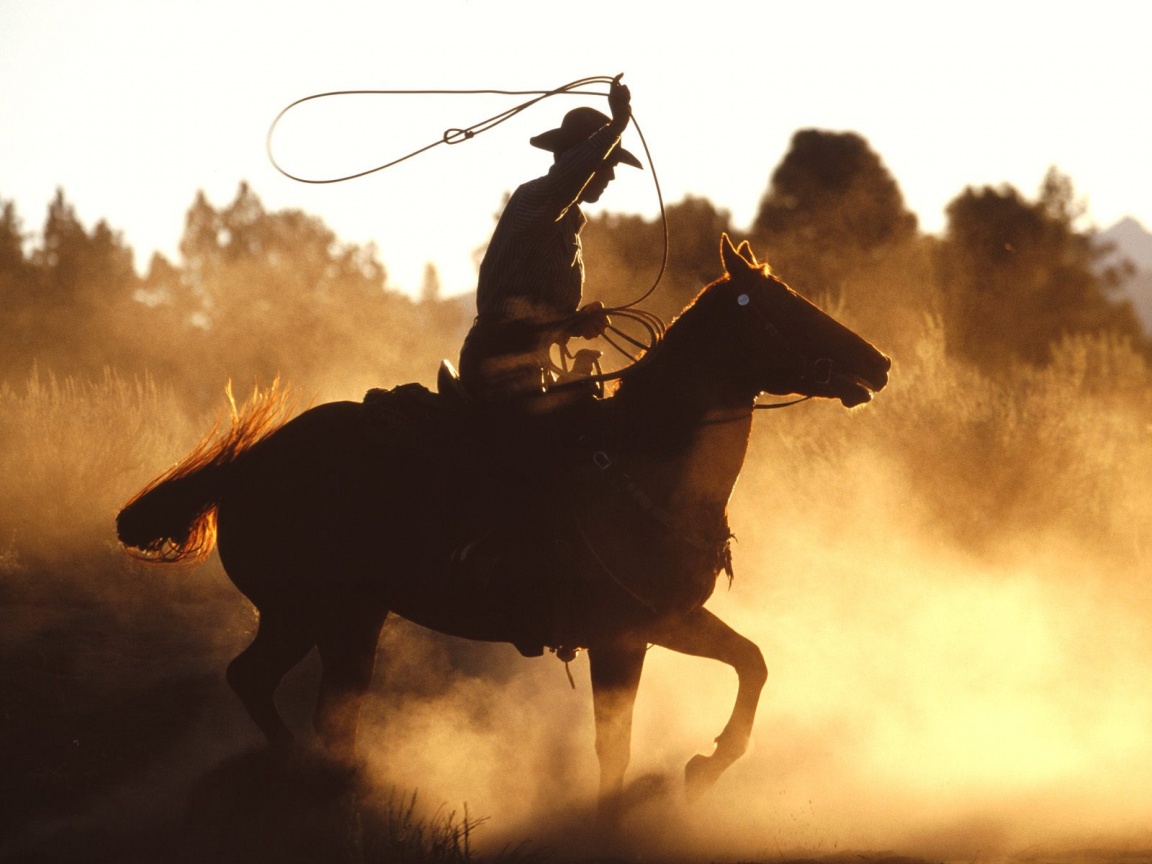 Arktan launches LiveBlogging with new ways to utilize social media