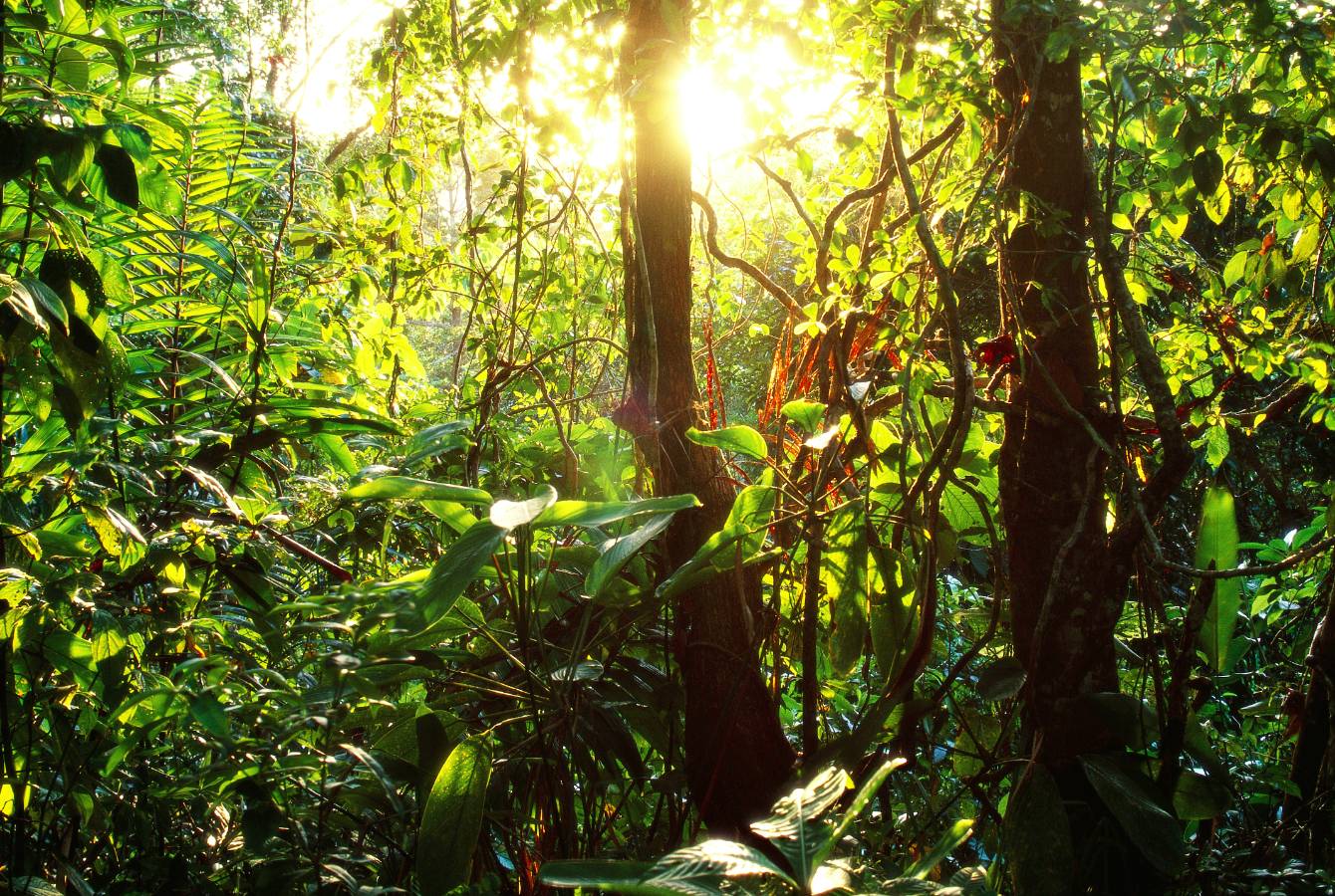 Happy Earth Day! 10 apps that make it easy to go green.