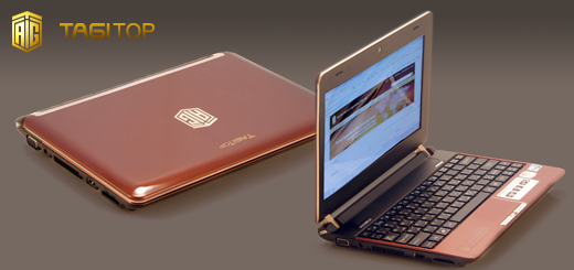 TAGITop: Affordable Arabic Netbook for Arabs