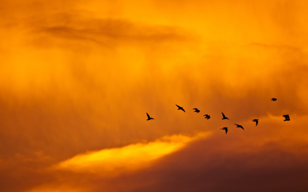 Orange teams up with Vouchercloud to offer discount deals direct to customers’ mobiles