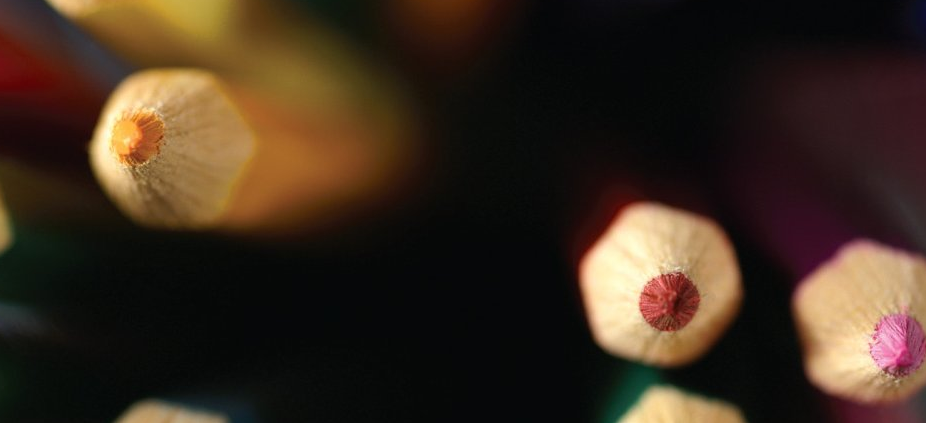 Should your startup hire a VP of Learning & Development?