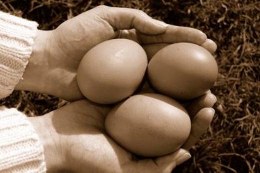 Father of Great Firewall attacked with eggs and a shoe