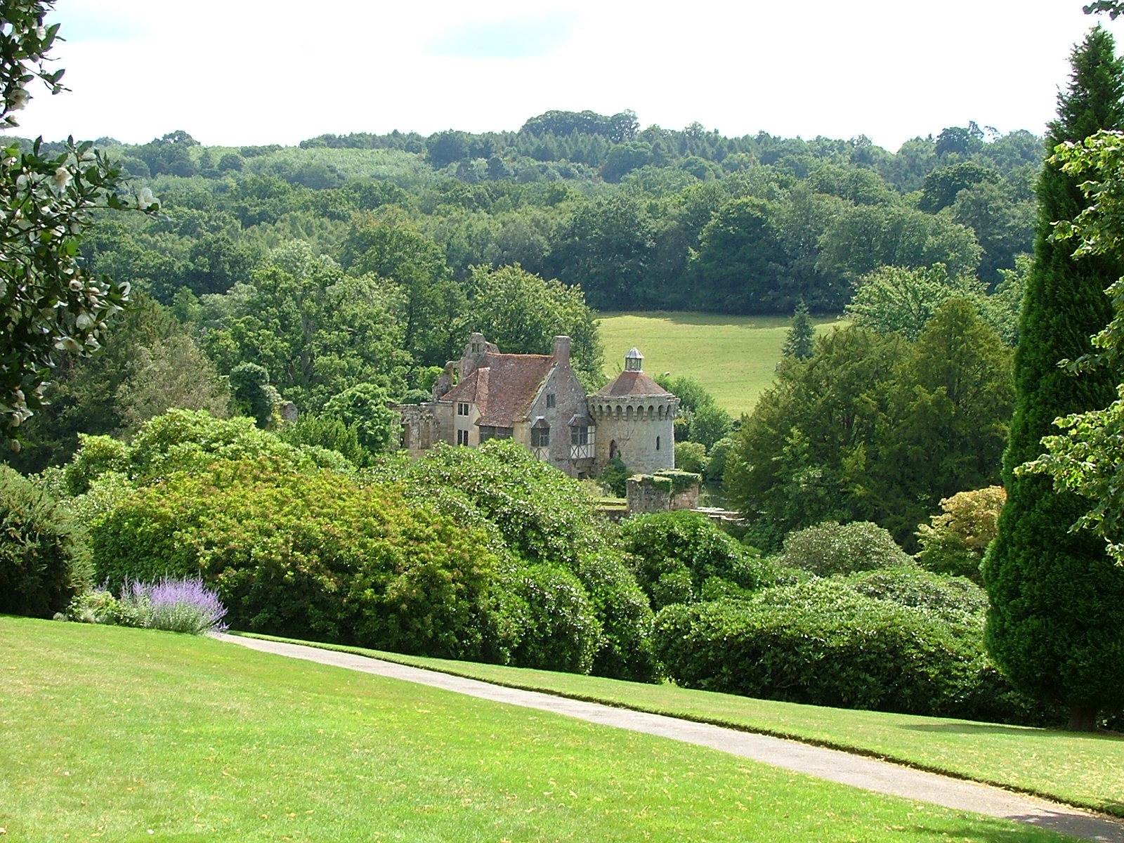 UK web designers and developers: Get off your laptops and into the woods