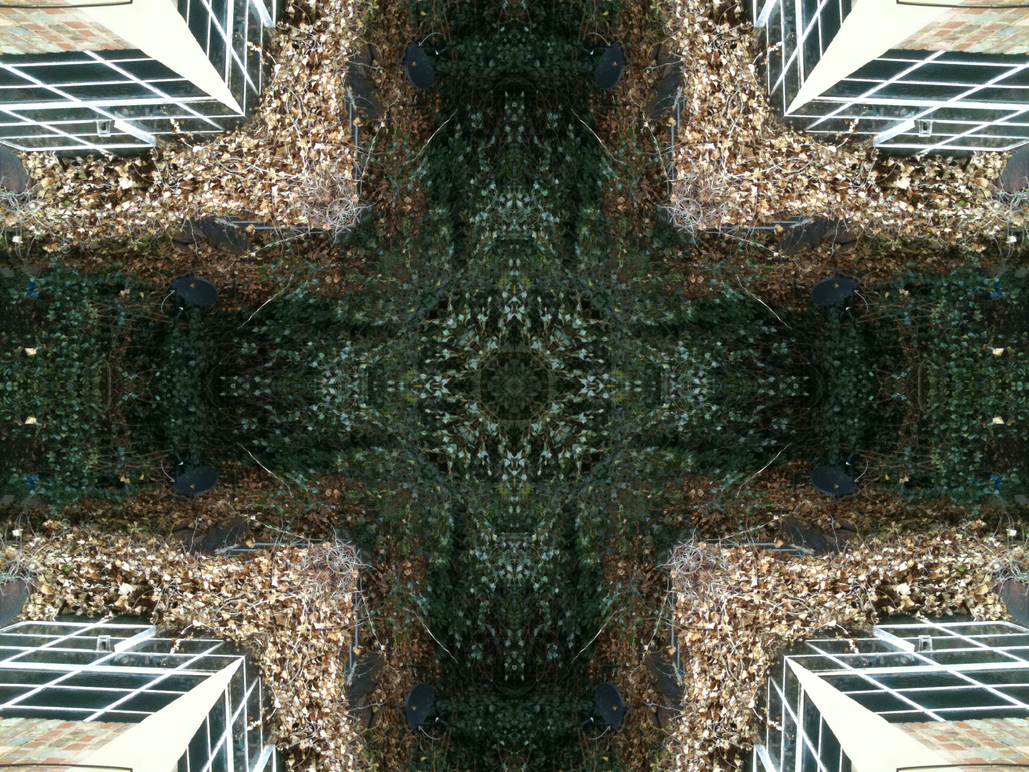 The new KaleidaCam iPhone app is brilliantly trippy