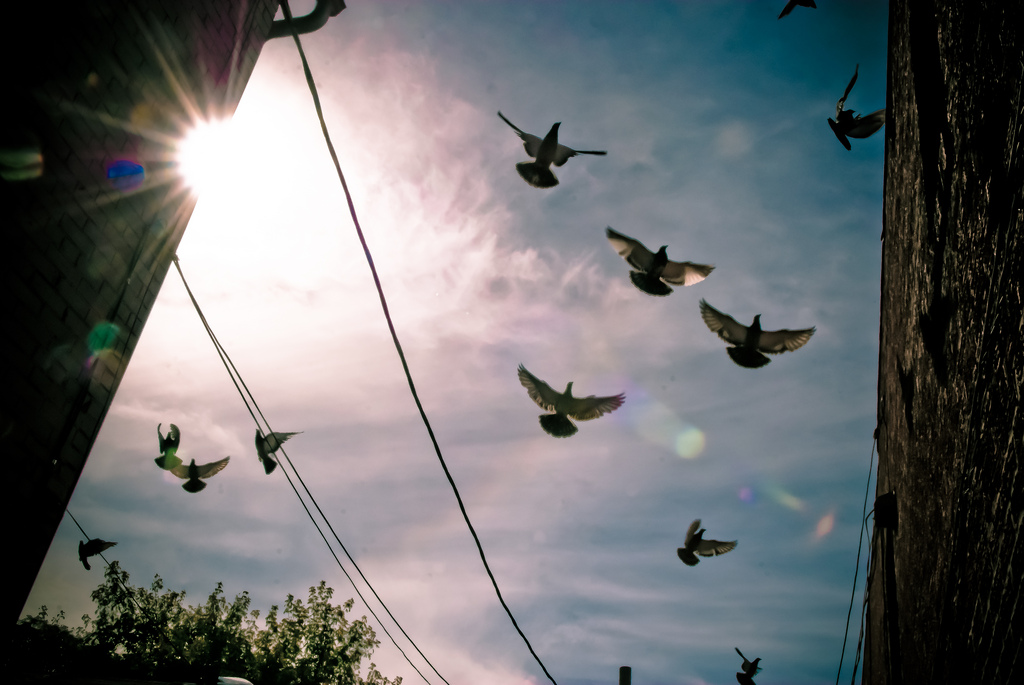 The secret to success on Twitter: Link sharing.