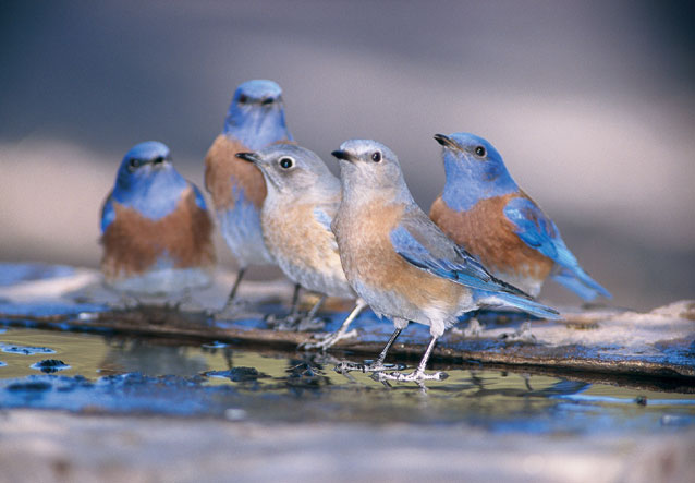 Twitter acquires YC-incubated BackType