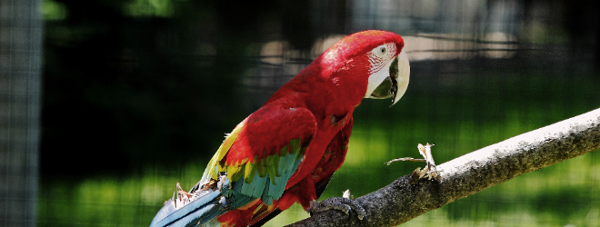 Polly.IM helps businesses engage with customers on Twitter