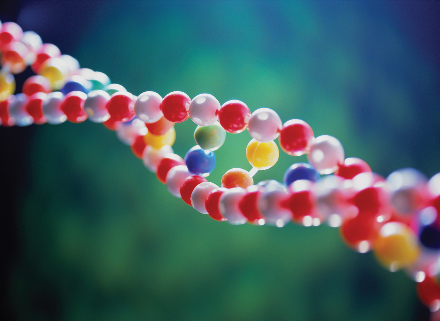 Will Genetic Alterations Modify Human Society