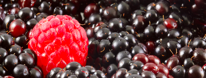 94% of iPhone users will buy another, most Blackberry users just want one already