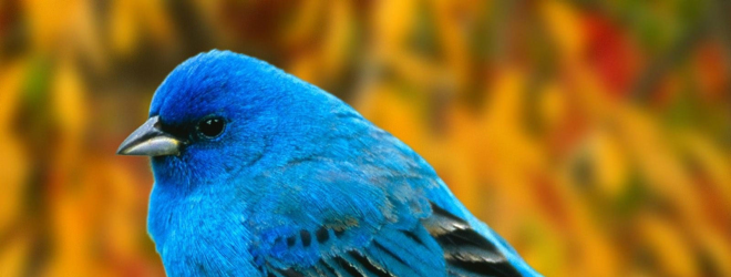Hate the new Twitter @Username tab? Here’s how to make it only show @Mentions
