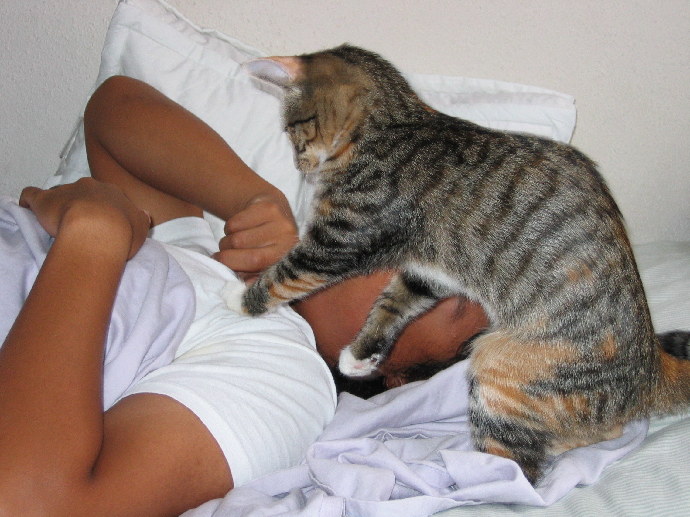 Tumblr Tuesday: Meet the man behind “Animals Being Dicks”