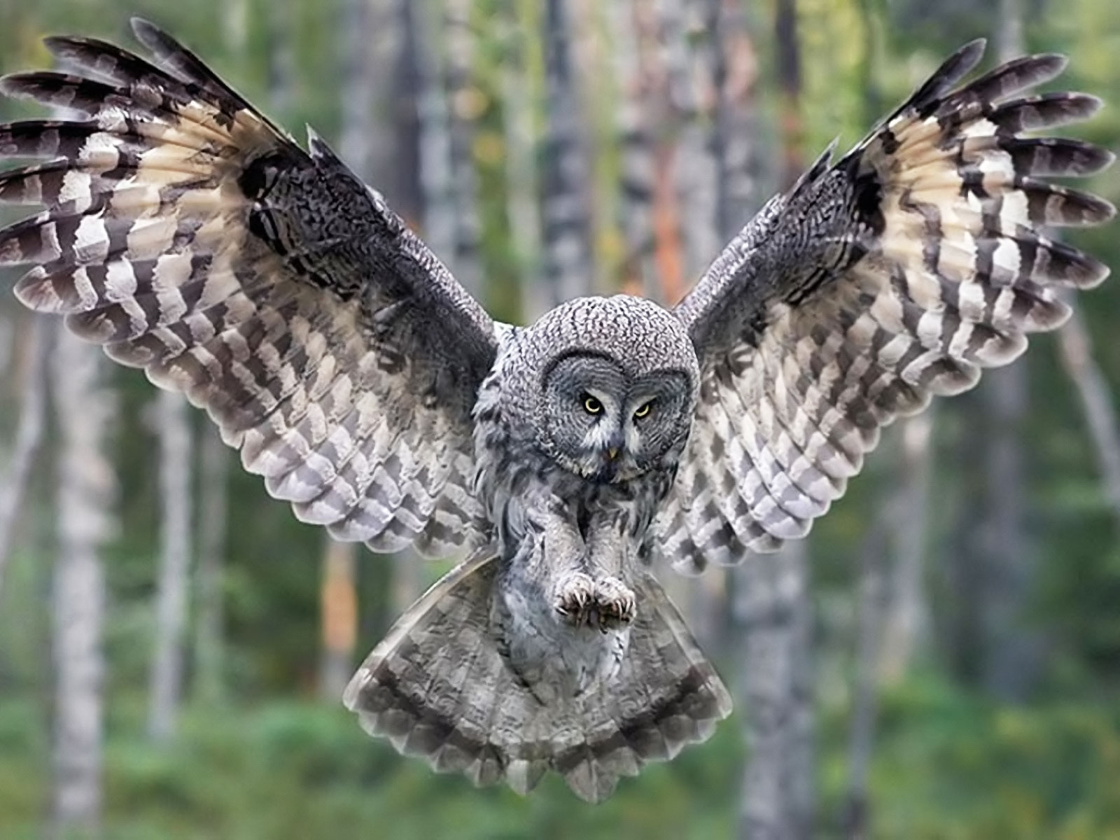 HootSuite acquires What the Trend to protect you from social media faux pas