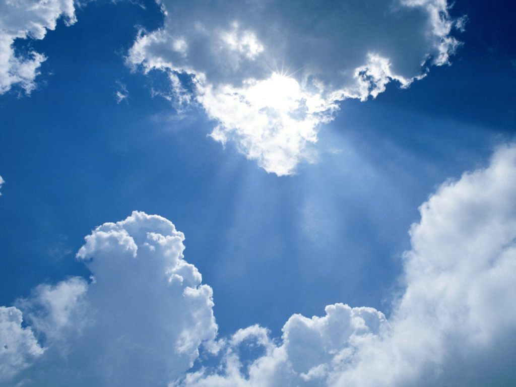 Want to make money on the Android Market? Build a weather or business app.