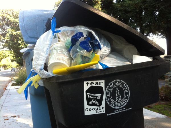 New age artist XVALA goes dumpster diving in Silicon Valley to create “art”