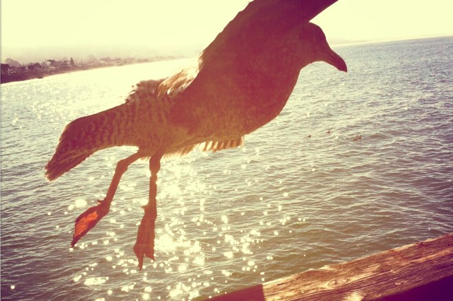If you use your iPhone for photography, you need an Olloclip lens set