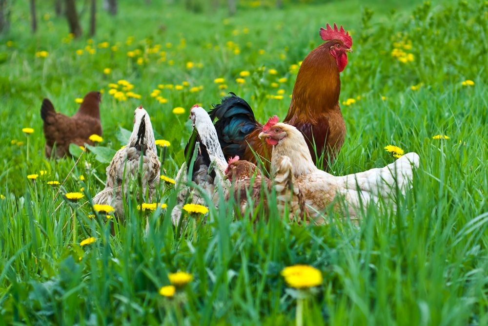 The end of content farms: Contently launches a modern marketplace for writers