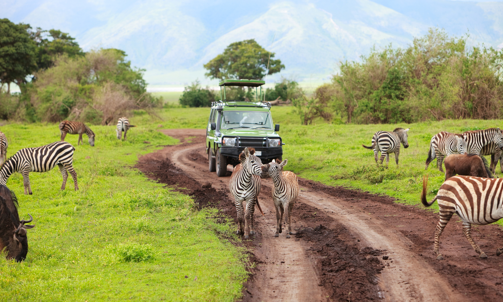 TripIt expands its itinerary platform with Avis car reservations