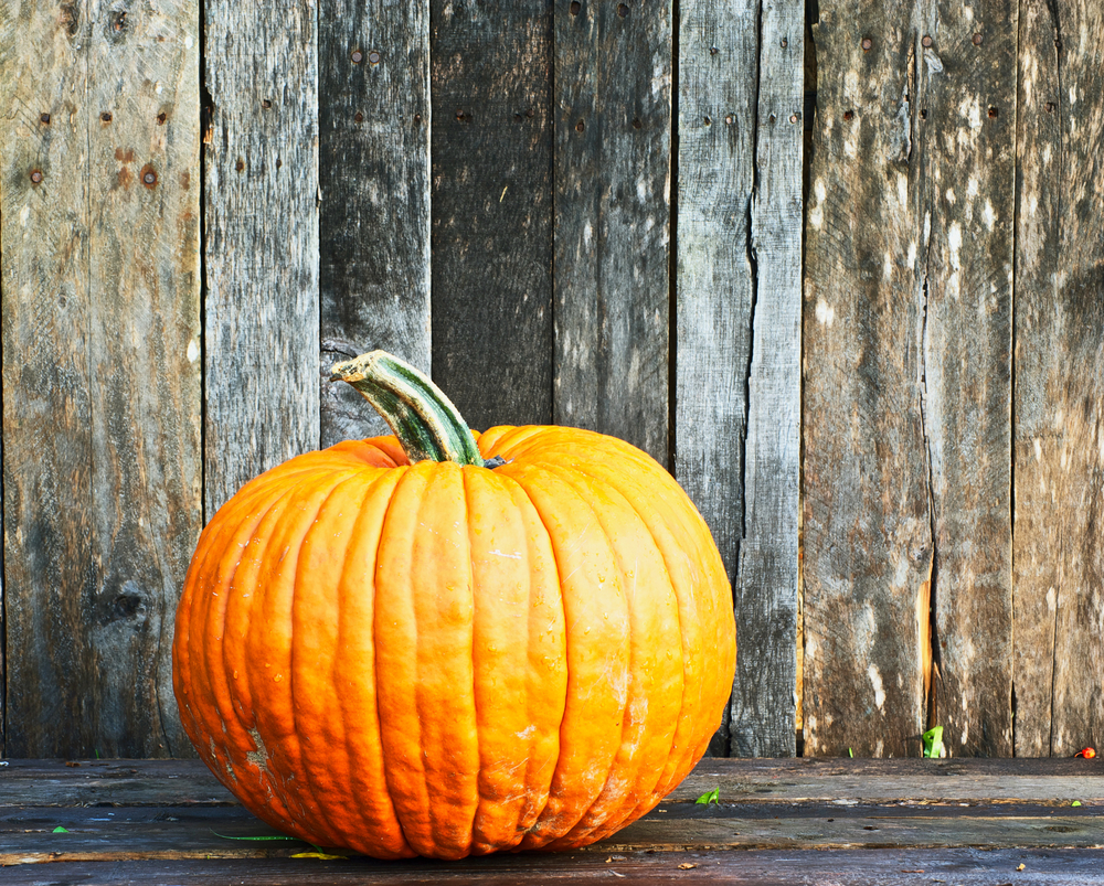 Tricks and Treats: This week’s most talked about social media