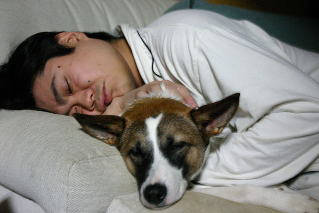 sleepyti.me tells you when it’s time to hit the hay