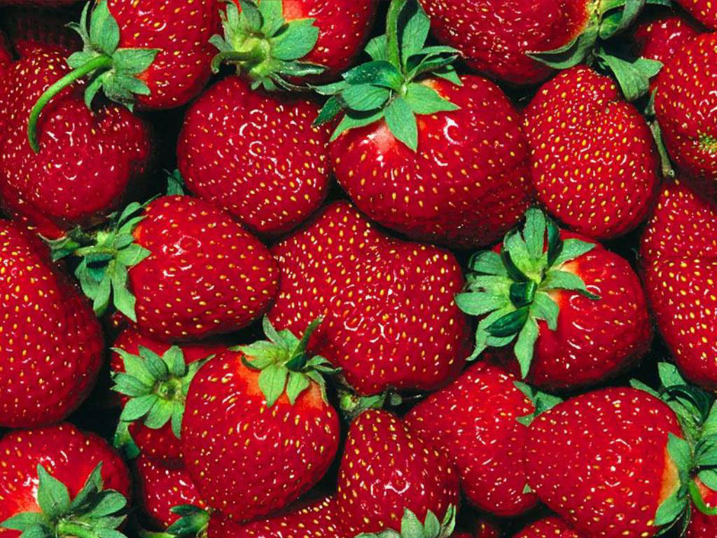 Strawberry Earth launches as Europe’s first green Groupon