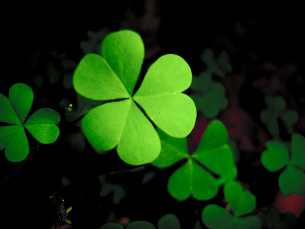 Clover breaks stealth with a powerhouse team to shake up peer-to-peer payments