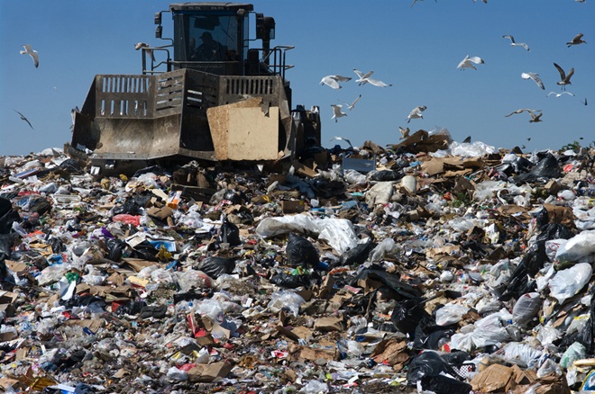 Rubbish app? This Korean startup has a great solution to managing trash
