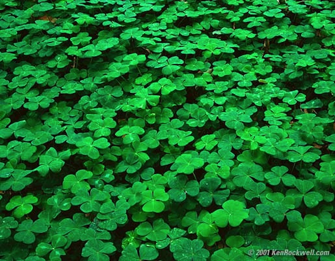 Clover Pay updates, adds withdrawal to Amazon gift cards, backup funding