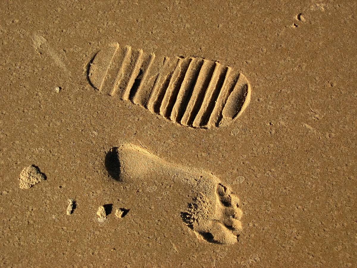 Track your weekly carbon footprint using Foursquare