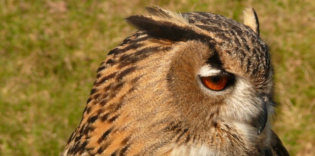HootSuite hits 3 million signups, sees 1m new accounts in 6 months