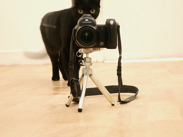 Camera+ has made $5.1M to date and sells a copy every 3 seconds