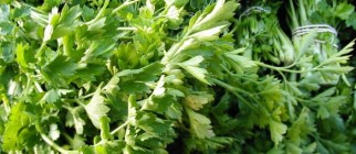 parsley