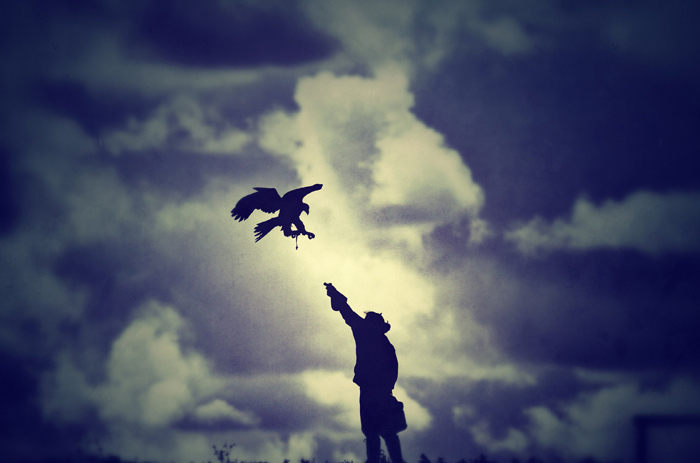 Powerful iOS photo editing app Snapseed coming to the Mac App Store