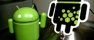 6220320993_709b981e99_z