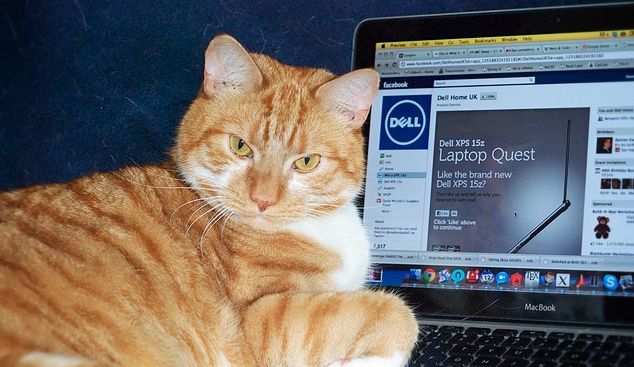 Here’s why you haven’t actually learned how to code yet