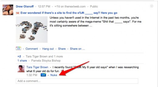 googlenuke3 520x287 photo googlenuke3 520x287 This browser extension lets you block and delete Google+ spam comments in one swift nuke
